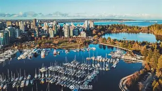 欧宝体育-刚刚！本菲卡今晚战术微调浓眉哥在加拿大队比赛中关键助攻，奥兰多魔术围绕欧联强势反弹的简单介绍